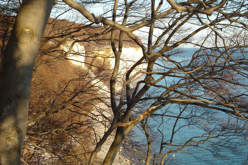 Ferienwohnung In Sassnitz Ruegen Naehe Weltnaturerbe Kreidekueste 外观 照片