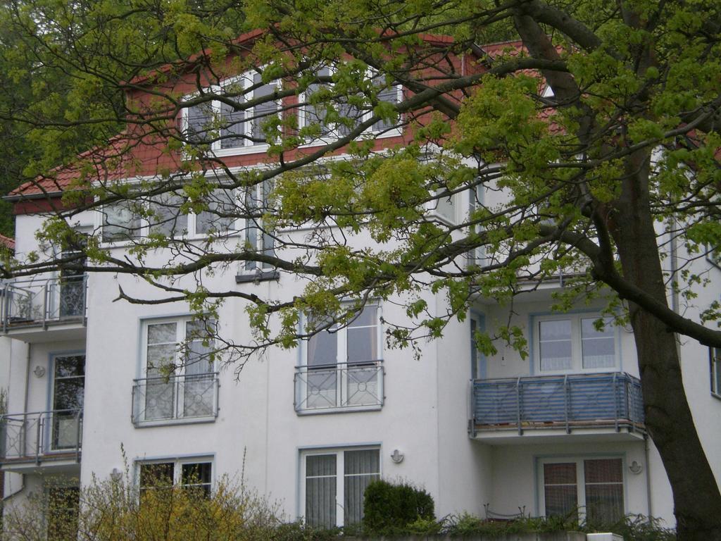 Ferienwohnung In Sassnitz Ruegen Naehe Weltnaturerbe Kreidekueste 外观 照片