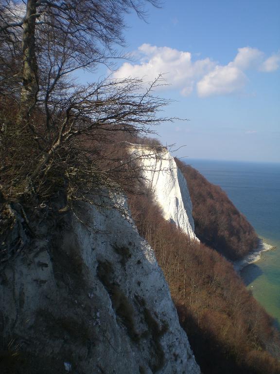 Ferienwohnung In Sassnitz Ruegen Naehe Weltnaturerbe Kreidekueste 外观 照片