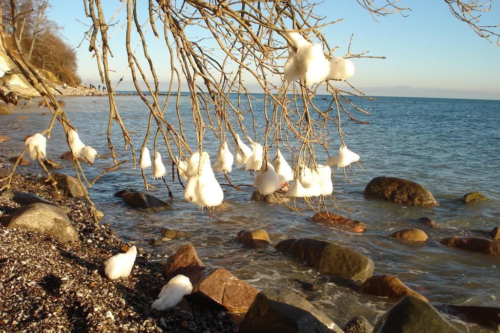 Ferienwohnung In Sassnitz Ruegen Naehe Weltnaturerbe Kreidekueste 外观 照片