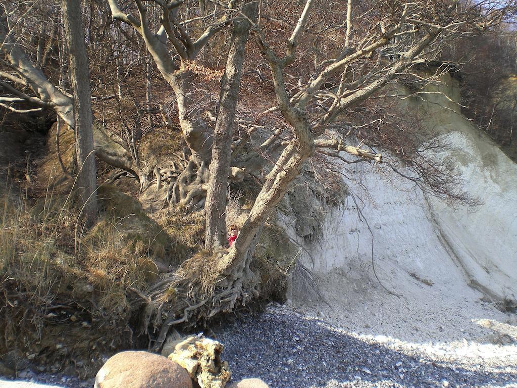 Ferienwohnung In Sassnitz Ruegen Naehe Weltnaturerbe Kreidekueste 外观 照片