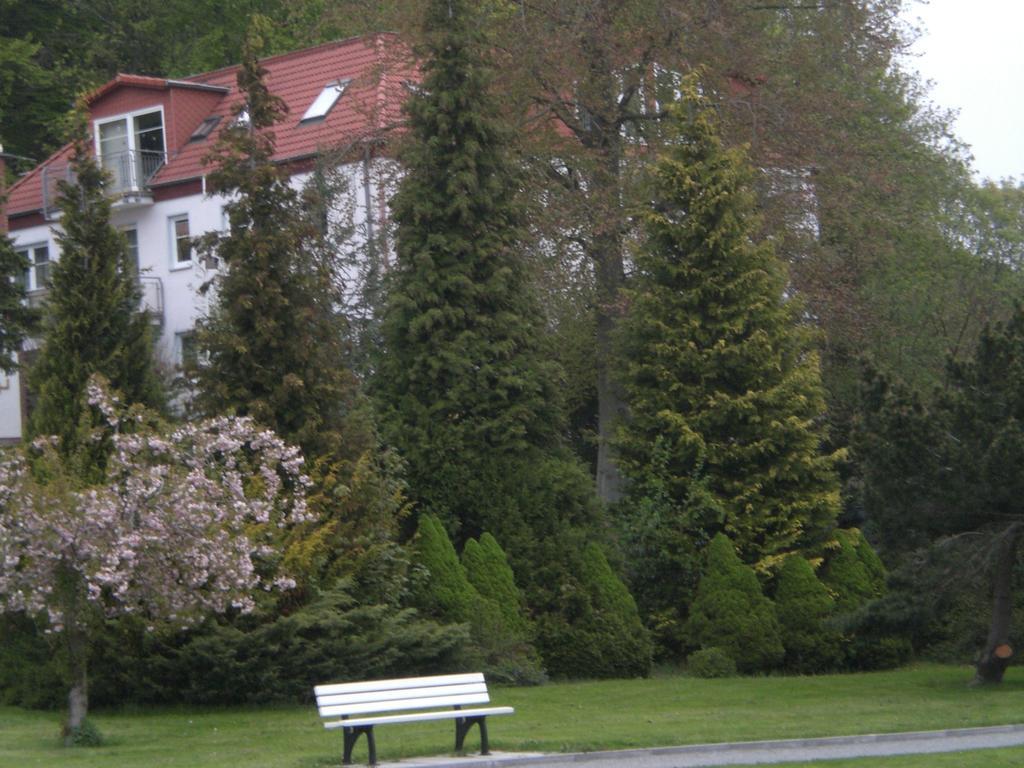 Ferienwohnung In Sassnitz Ruegen Naehe Weltnaturerbe Kreidekueste 外观 照片