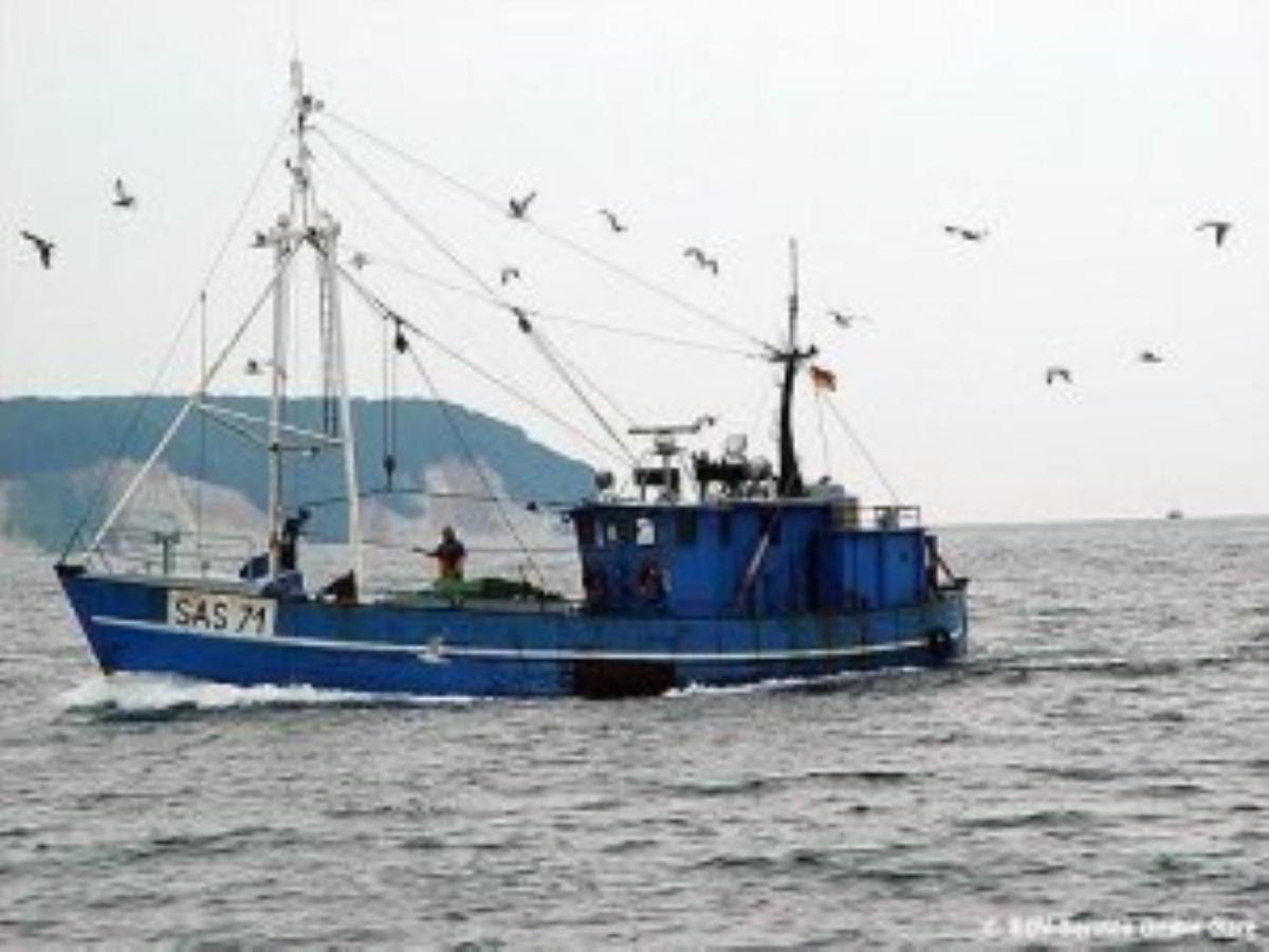 Ferienwohnung In Sassnitz Ruegen Naehe Weltnaturerbe Kreidekueste 外观 照片